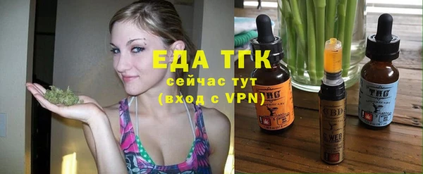 мдпв Инсар