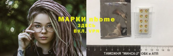 мдпв Инсар