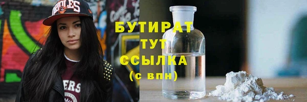 мдпв Инсар