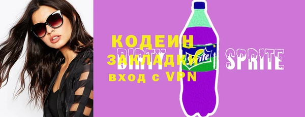 мдпв Инсар