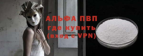 мдпв Инсар