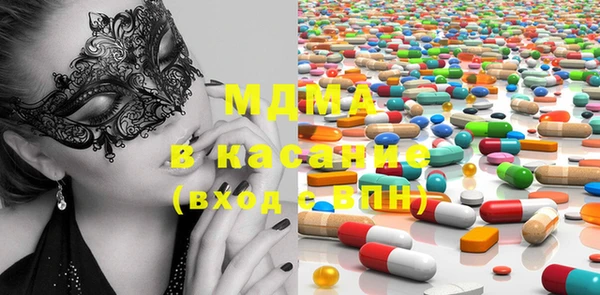 мдпв Инсар