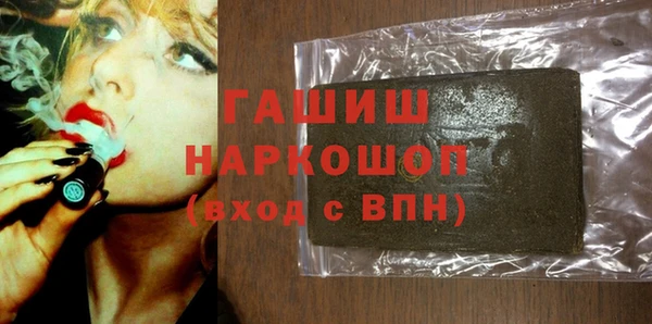 мдпв Инсар