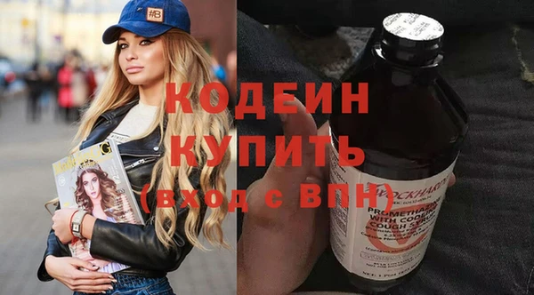 мдпв Инсар