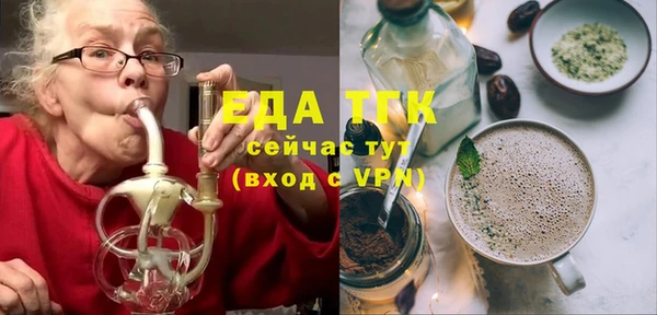 мдпв Инсар