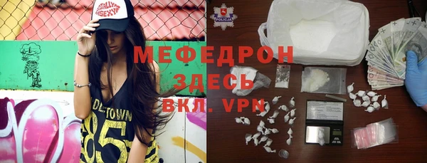 мдпв Инсар