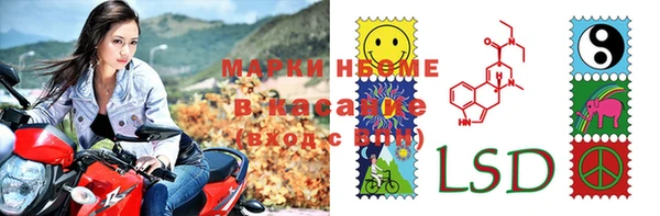 мдпв Инсар